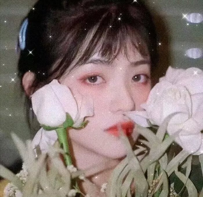 美国派:高潮再起